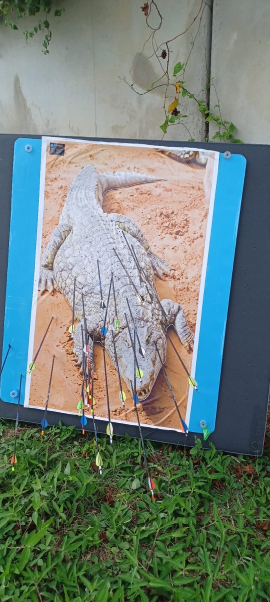 Tir nature sur 10 cibles