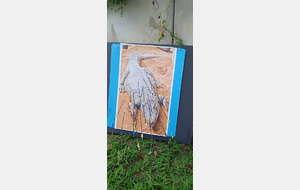 Tir nature sur 10 cibles